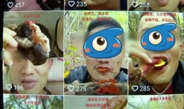 野生菌爆料视频大全集最新,探寻菌林奥秘，尽享美味之旅